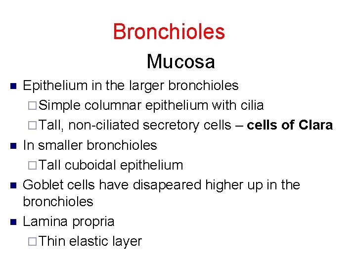 Bronchioles Mucosa n n Epithelium in the larger bronchioles ¨ Simple columnar epithelium with