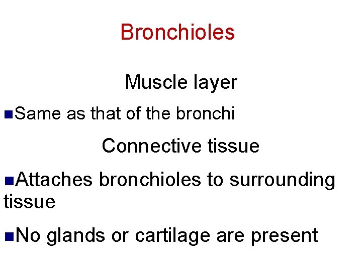 Bronchioles Muscle layer n. Same as that of the bronchi Connective tissue n. Attaches