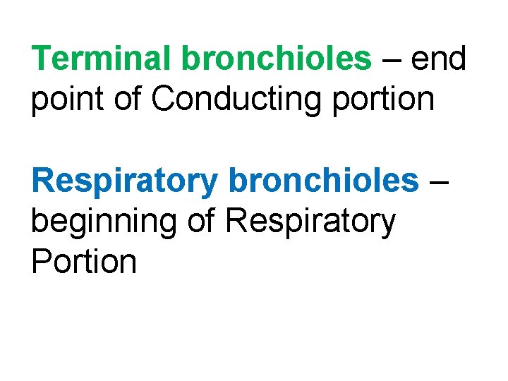 Terminal bronchioles – end point of Conducting portion Respiratory bronchioles – beginning of Respiratory