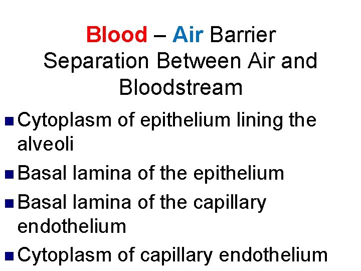 Blood – Air Barrier Separation Between Air and Bloodstream n Cytoplasm of epithelium lining