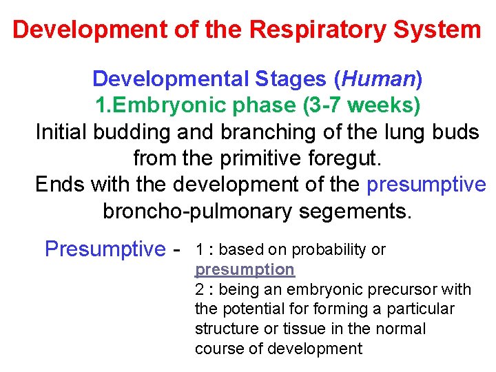 Development of the Respiratory System Developmental Stages (Human) 1. Embryonic phase (3 -7 weeks)