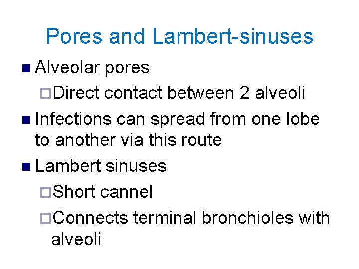 Pores and Lambert-sinuses n Alveolar pores ¨Direct contact between 2 alveoli n Infections can