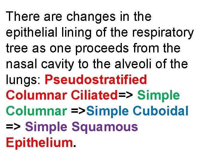 There are changes in the epithelial lining of the respiratory tree as one proceeds