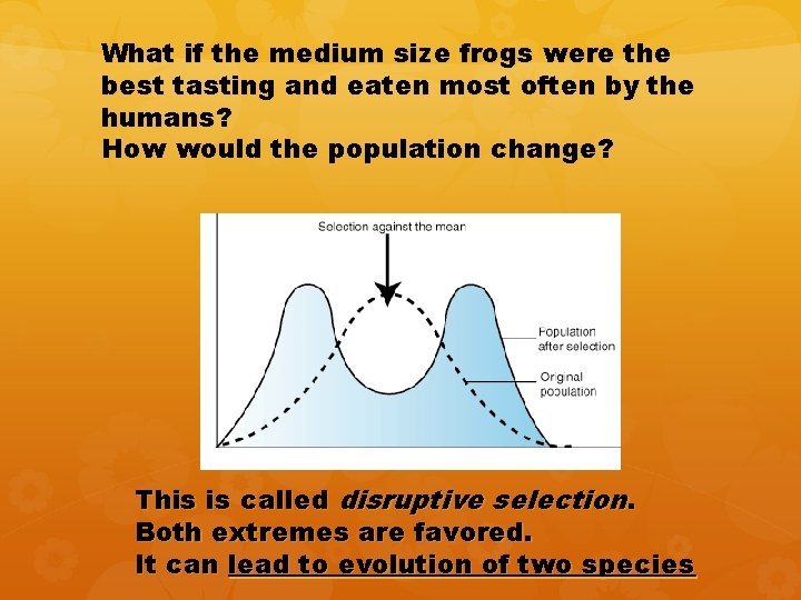 What if the medium size frogs were the best tasting and eaten most often What if the medium size frogs were the best tasting and eaten most often