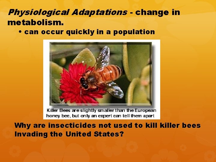 Physiological Adaptations - change in metabolism. • can occur quickly in a population Why Physiological Adaptations - change in metabolism. • can occur quickly in a population Why