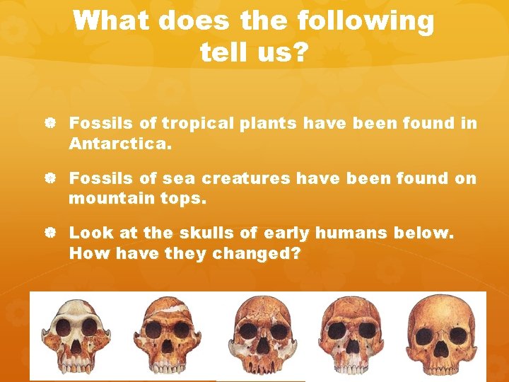 What does the following tell us? Fossils of tropical plants have been found in What does the following tell us? Fossils of tropical plants have been found in