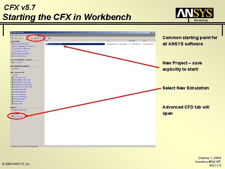 CFX v 5. 7 Starting the CFX in Workbench Workshop Common starting point for