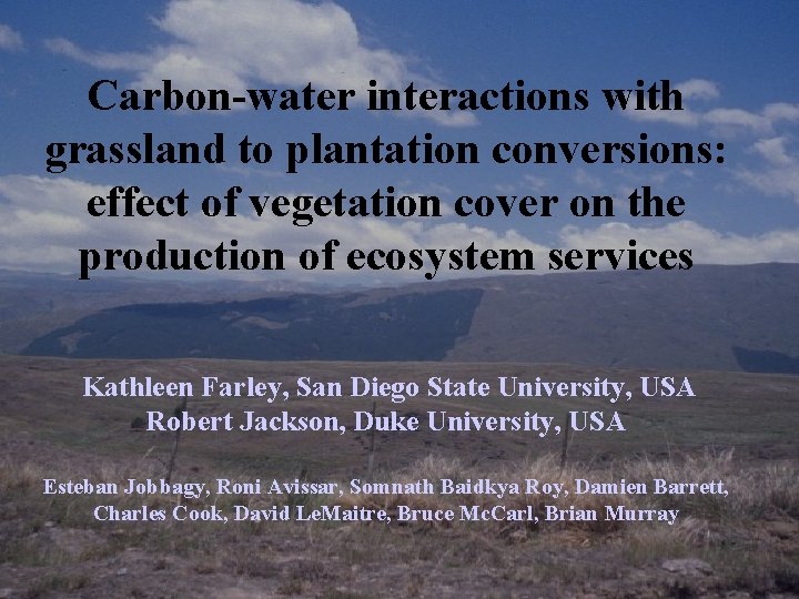 Carbon-water interactions with grassland to plantation conversions: effect of vegetation cover on the production