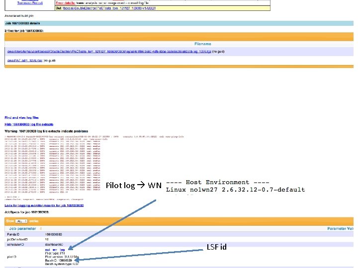 Pilot log WN LSF id 