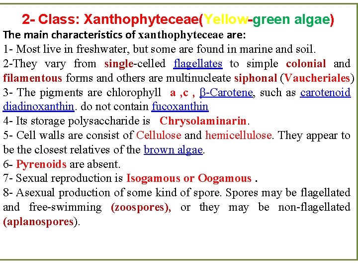2 - Class: Xanthophyteceae(Yellow-green algae) The main characteristics of xanthophyteceae are: 1 - Most 2 - Class: Xanthophyteceae(Yellow-green algae) The main characteristics of xanthophyteceae are: 1 - Most
