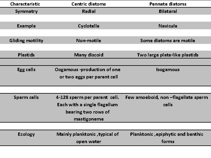 Characteristic Symmetry Centric diatoms Radial Pennate diatoms Bilateral Example Cyclotella Navicula Gliding motility Non-motile Characteristic Symmetry Centric diatoms Radial Pennate diatoms Bilateral Example Cyclotella Navicula Gliding motility Non-motile