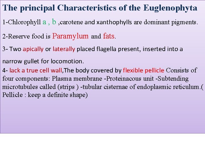 The principal Characteristics of the Euglenophyta 1 -Chlorophyll a , b , carotene and The principal Characteristics of the Euglenophyta 1 -Chlorophyll a , b , carotene and