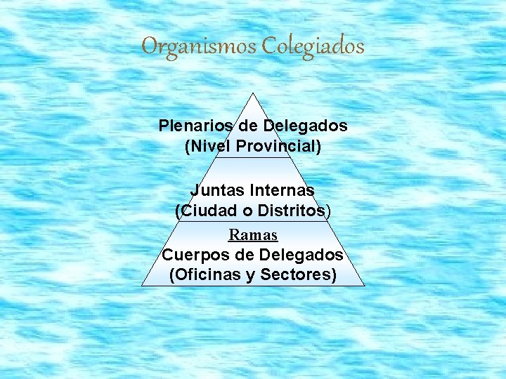 Organismos Colegiados Plenarios de Delegados (Nivel Provincial) Juntas Internas (Ciudad o Distritos) Ramas Cuerpos