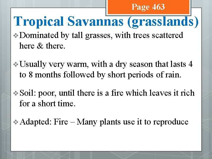 Page 463 Tropical Savannas (grasslands) v Dominated by tall grasses, with trees scattered here