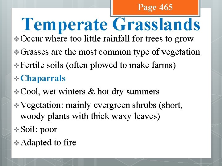 Page 465 Temperate Grasslands v Occur where too little rainfall for trees to grow