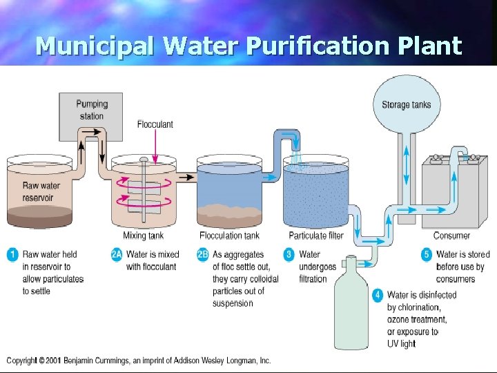 Municipal Water Purification Plant 