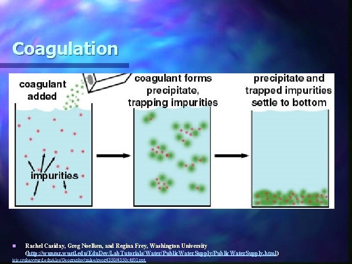 Coagulation n Rachel Casiday, Greg Noelken, and Regina Frey, Washington University (http: //wunmr. wustl.