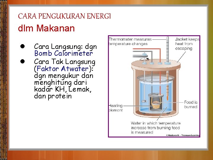 CARA PENGUKURAN ENERGI dlm Makanan l l Cara Langsung: dgn Bomb Calorimeter Cara Tak