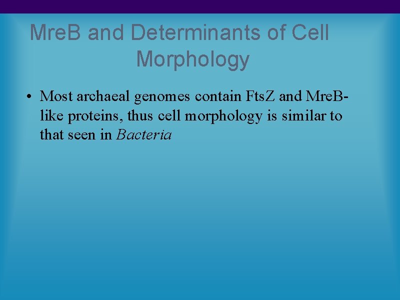 Mre. B and Determinants of Cell Morphology • Most archaeal genomes contain Fts. Z