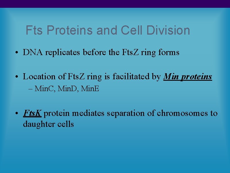 Fts Proteins and Cell Division • DNA replicates before the Fts. Z ring forms