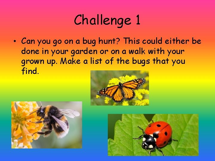 Challenge 1 • Can you go on a bug hunt? This could either be