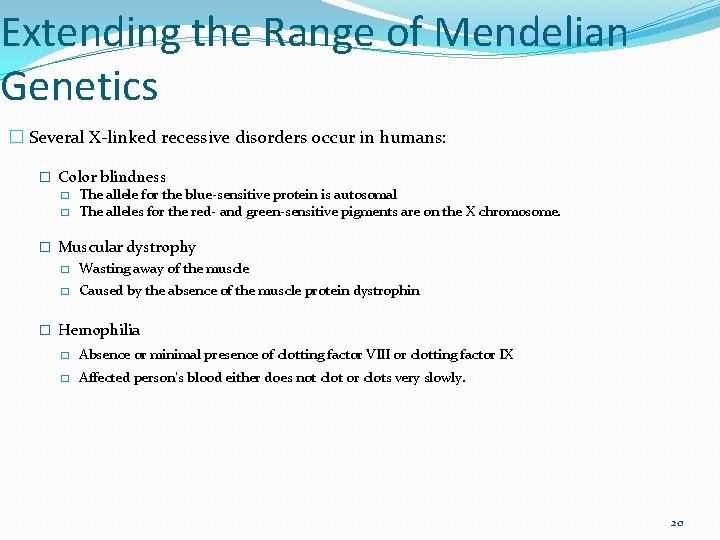 Extending the Range of Mendelian Genetics � Several X-linked recessive disorders occur in humans: