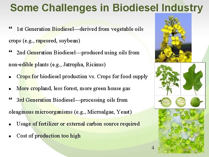 Cost reduction for biodiesel production from distillerydomestic mixed