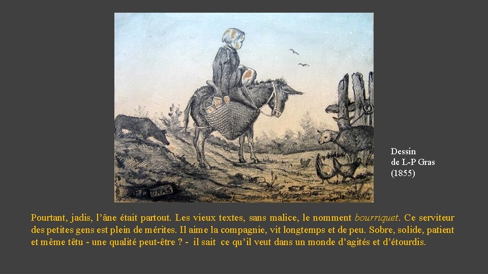 Dessin de L-P Gras (1855) Pourtant, jadis, l’âne était partout. Les vieux textes, sans
