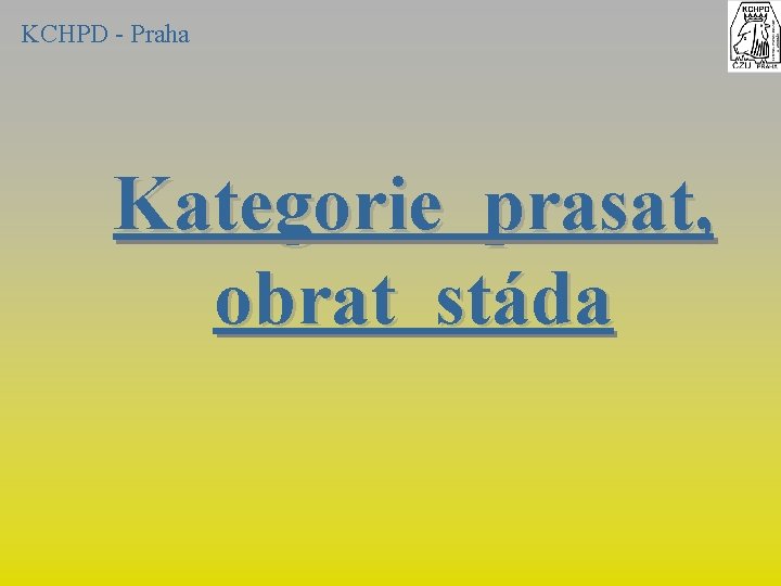 KCHPD - Praha Kategorie prasat, obrat stáda 
