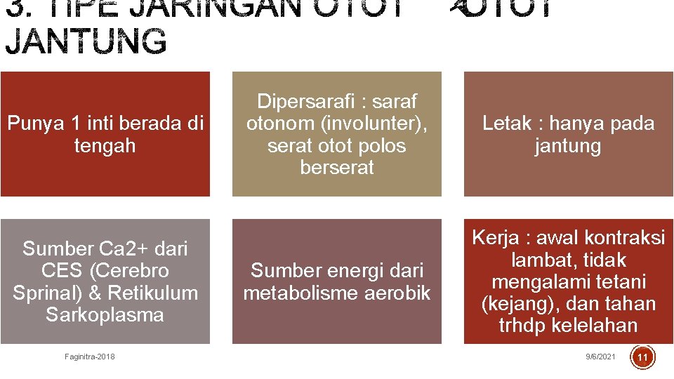 Punya 1 inti berada di tengah Sumber Ca 2+ dari CES (Cerebro Sprinal) &