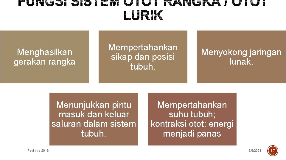 Menghasilkan gerakan rangka Mempertahankan sikap dan posisi tubuh. Menunjukkan pintu masuk dan keluar saluran