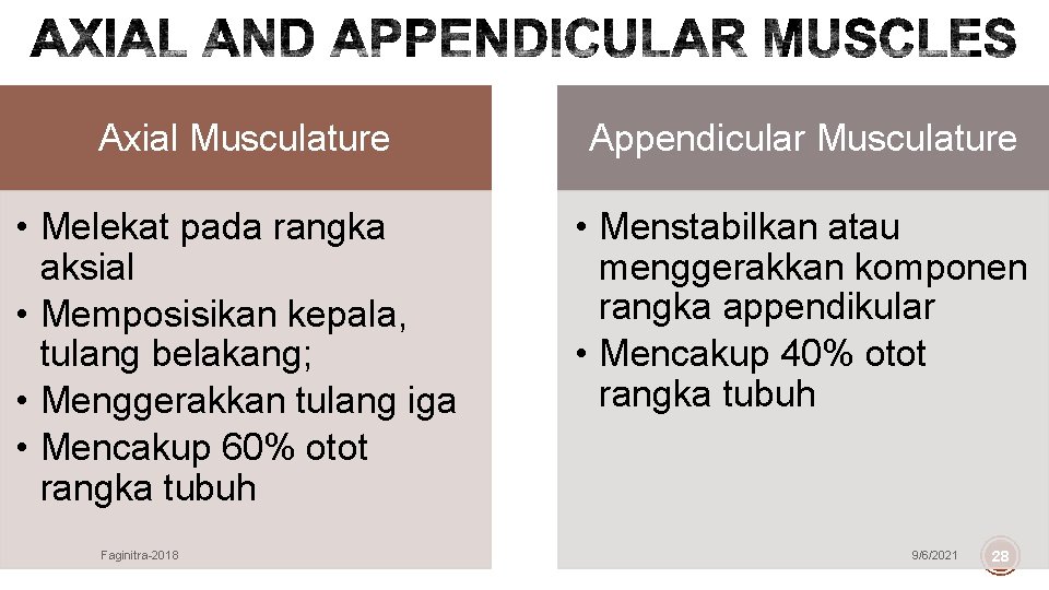 Axial Musculature Appendicular Musculature • Melekat pada rangka aksial • Memposisikan kepala, tulang belakang;