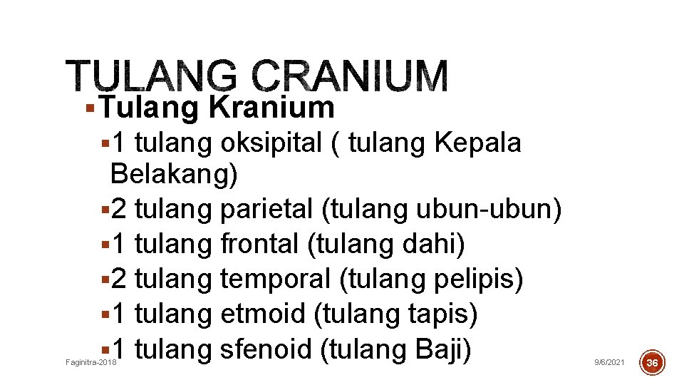 §Tulang Kranium § 1 tulang oksipital ( tulang Kepala Belakang) § 2 tulang parietal