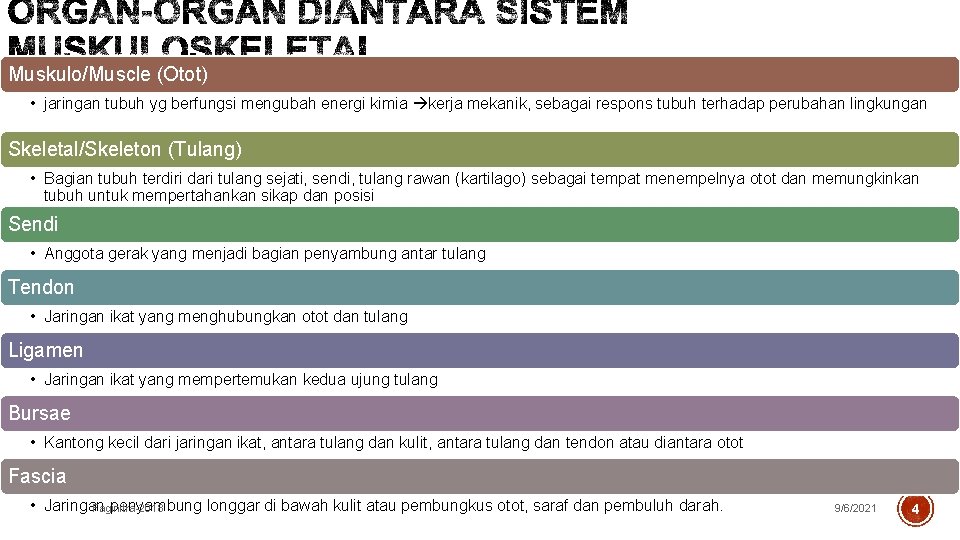 Muskulo/Muscle (Otot) • jaringan tubuh yg berfungsi mengubah energi kimia kerja mekanik, sebagai respons