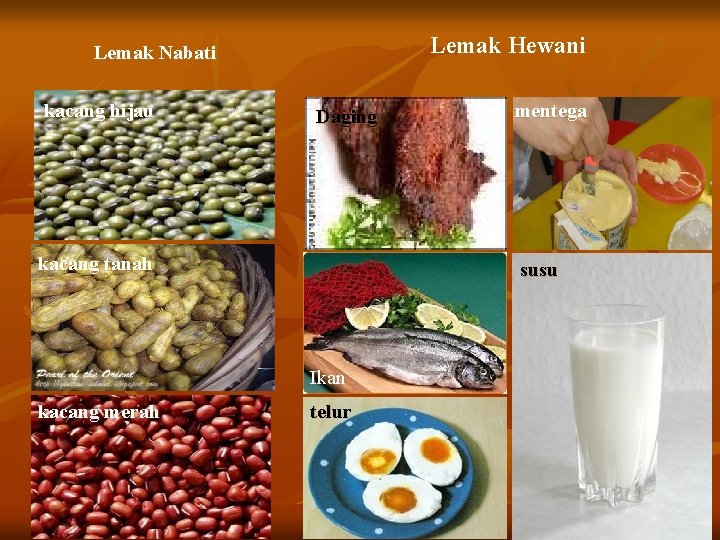 Lemak Hewani Lemak Nabati kacang hijau Daging kacang tanah susu Ikan kacang merah mentega