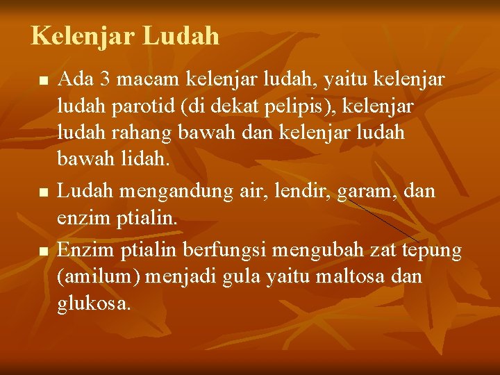 Kelenjar Ludah n n n Ada 3 macam kelenjar ludah, yaitu kelenjar ludah parotid