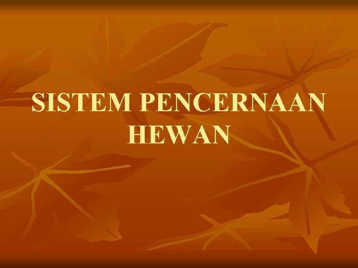 SISTEM PENCERNAAN HEWAN 