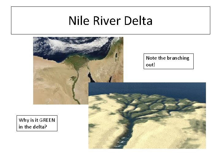 Nile River Delta Note the branching out! Why is it GREEN in the delta?