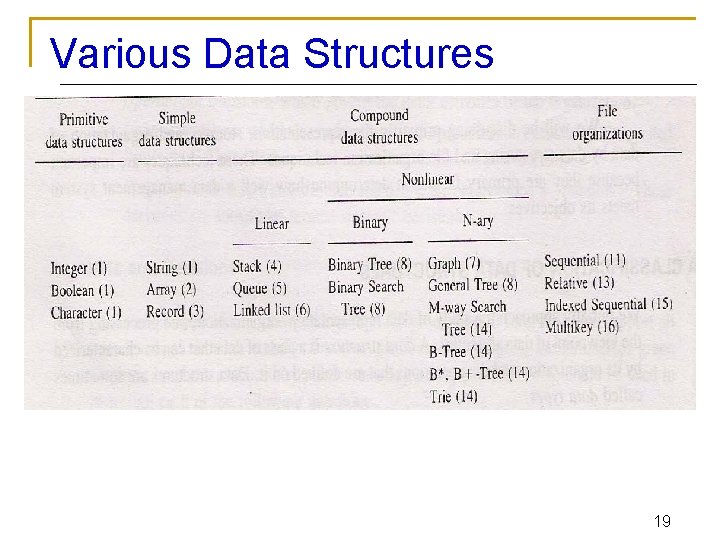 Various Data Structures 19 