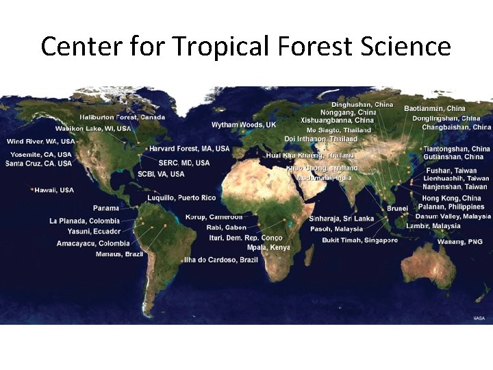 Center for Tropical Forest Science 