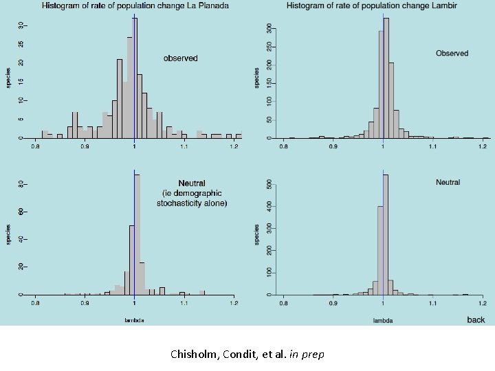 Chisholm, Condit, et al. in prep 