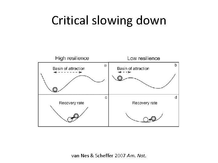 Critical slowing down van Nes & Scheffer 2007 Am. Nat. 