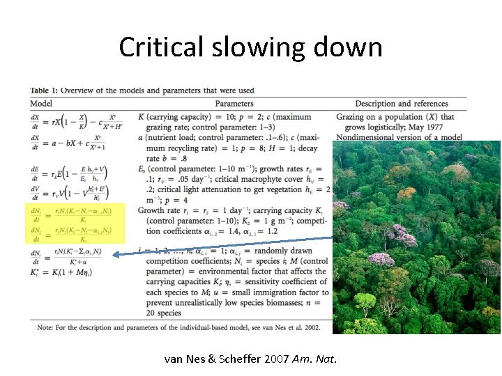 Critical slowing down van Nes & Scheffer 2007 Am. Nat. 