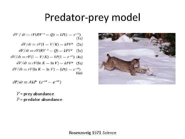Predator-prey model V = prey abundance P = predator abundance Rosenzweig 1971 Science 