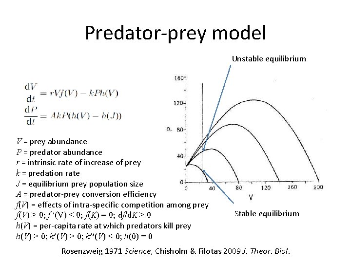 Predator-prey model Unstable equilibrium V = prey abundance P = predator abundance r =