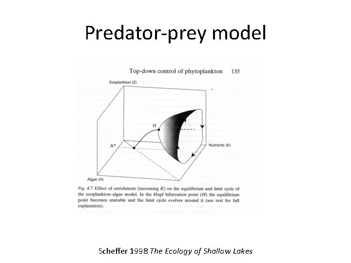 Predator-prey model Scheffer 1998 The Ecology of Shallow Lakes 