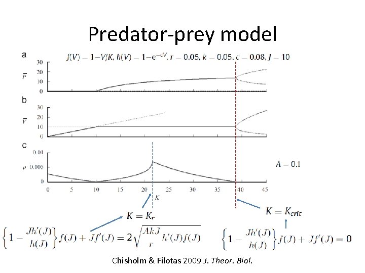 Predator-prey model Chisholm & Filotas 2009 J. Theor. Biol. 