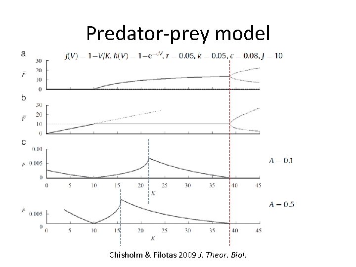 Predator-prey model Chisholm & Filotas 2009 J. Theor. Biol. 