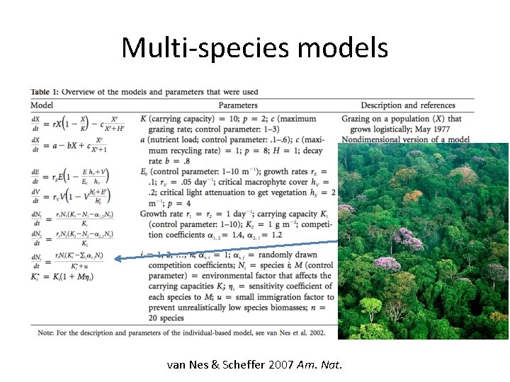 Multi-species models van Nes & Scheffer 2007 Am. Nat. 