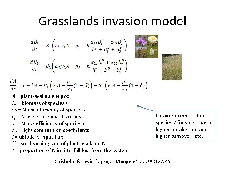 Grasslands invasion model A = plant-available N pool Bi = biomass of species i